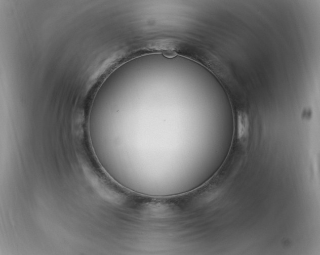 X0000112840300200908211247