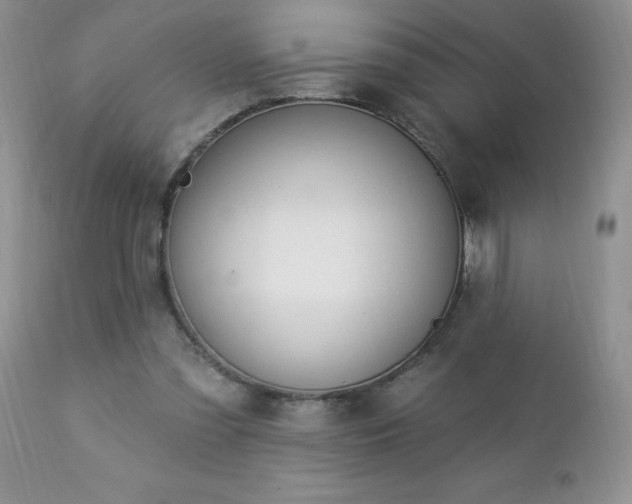 X0000112840301200908211247