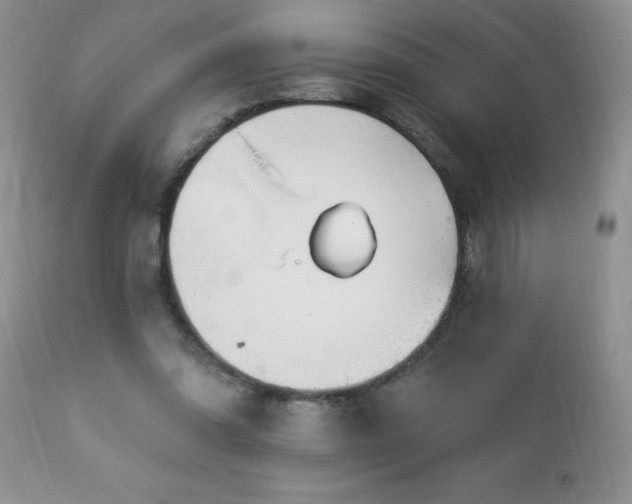 X0000112840302200908211247