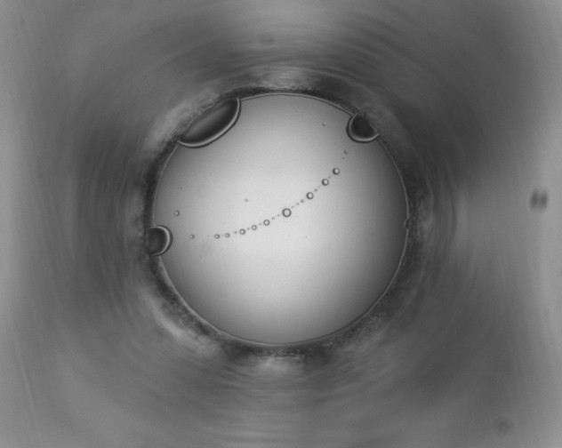 X0000112840303200908211247