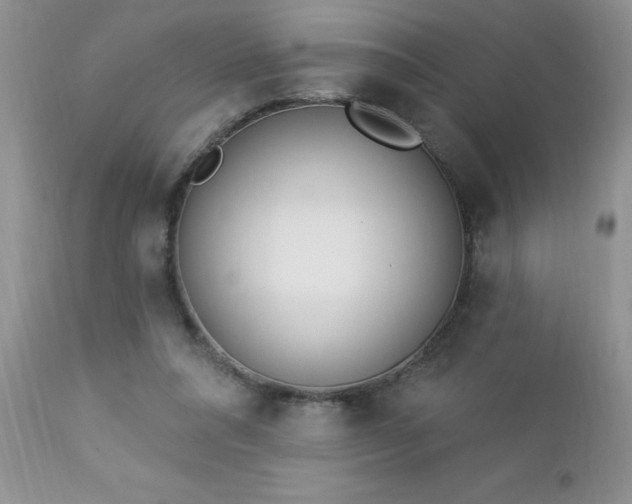 X0000112840304200908211247