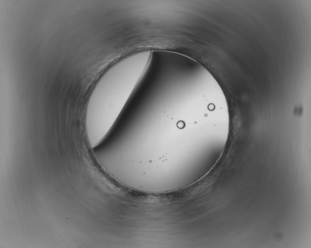 X0000112840305200908211247