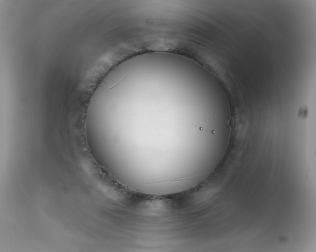 X0000112840307200908211247