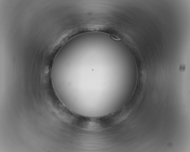 X0000112840308200908211247