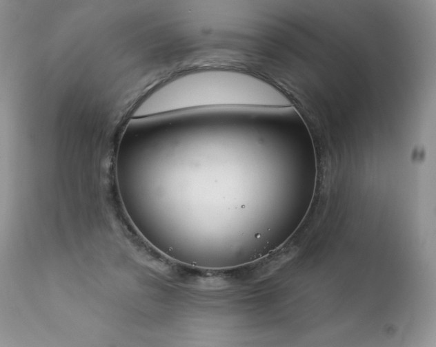 X0000112840309200908211247