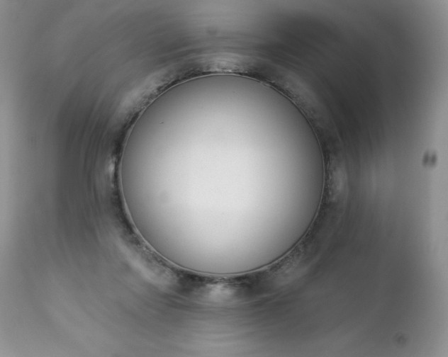 X0000112840310200908211247