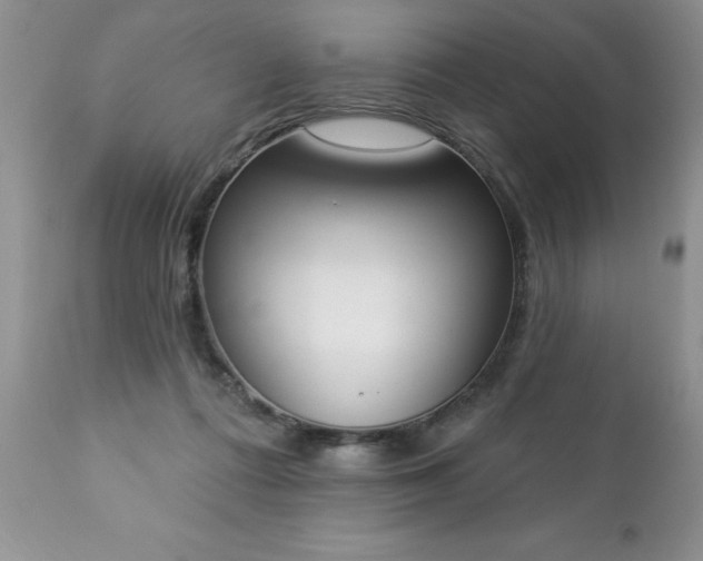 X0000112840312200908211247