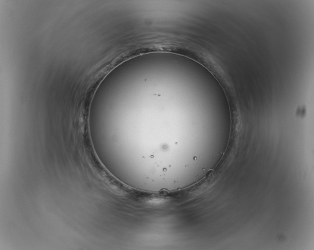 X0000112840313200908211247