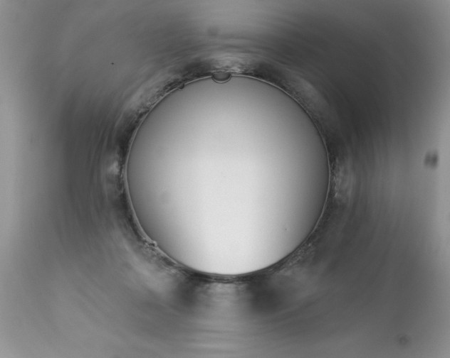 X0000112840314200908211247