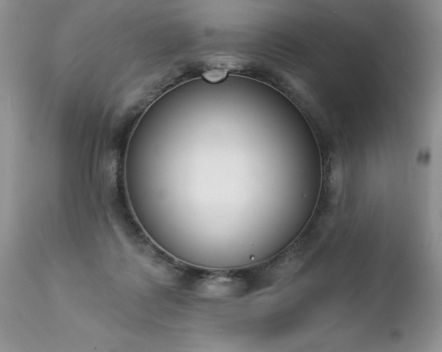 X0000112840315200908211247