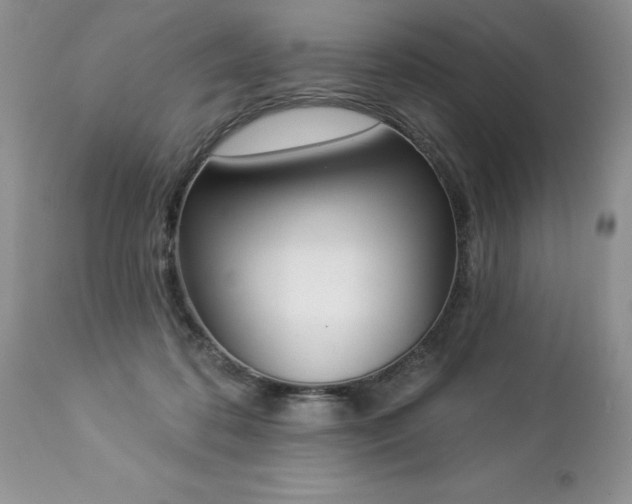 X0000112840316200908211247