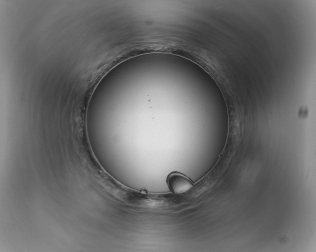 X0000112840317200908211247