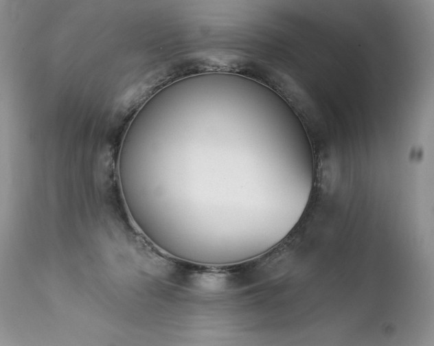 X0000112840318200908211247