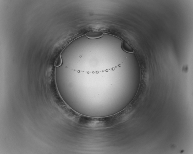 X0000112840319200908211247