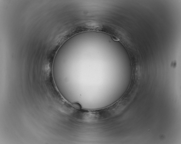 X0000112840320200908211247