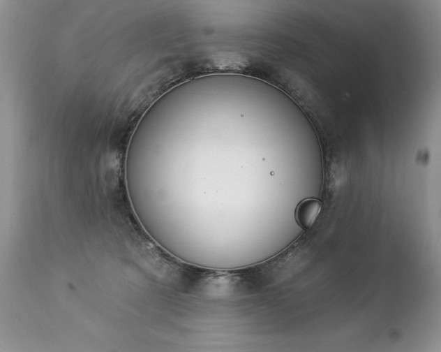 X0000112840321200908211247