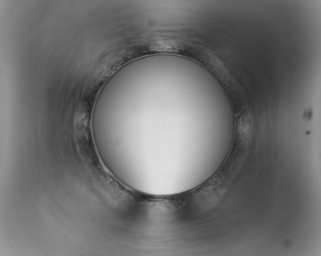 X0000112840322200908211247