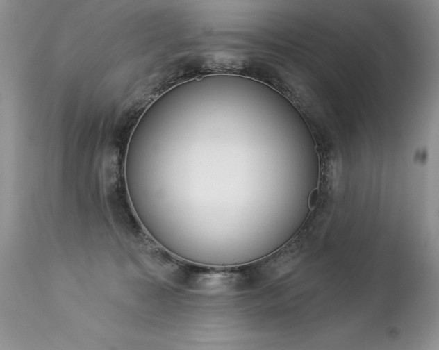 X0000112840323200908211247