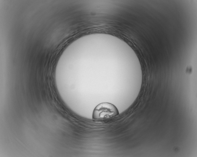 X0000112840324200908211247