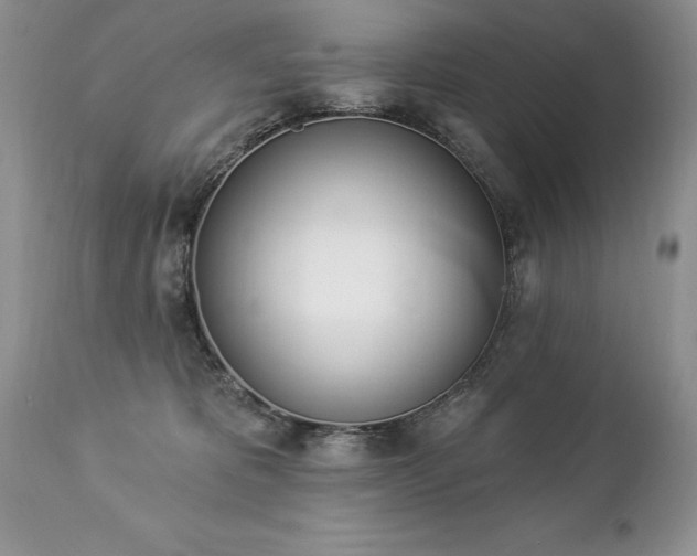 X0000112840325200908211247