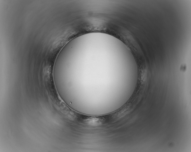 X0000112840326200908211247