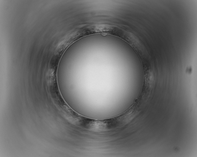 X0000112840327200908211247