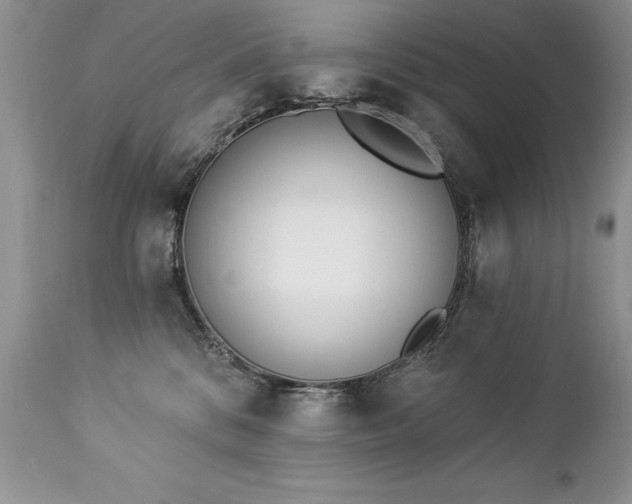 X0000112840328200908211247