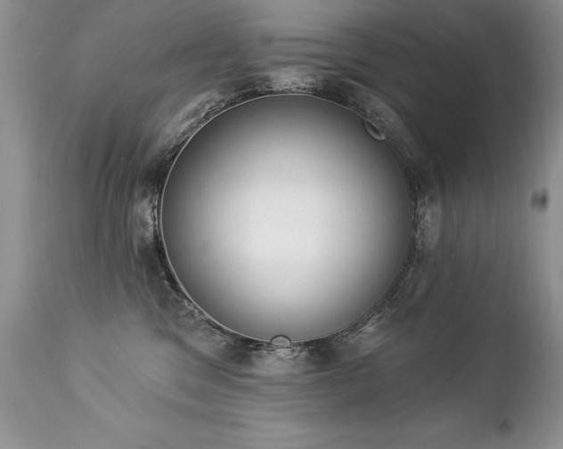 X0000112840329200908211247