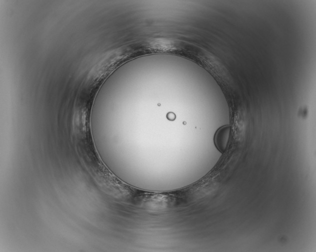 X0000112840330200908211247