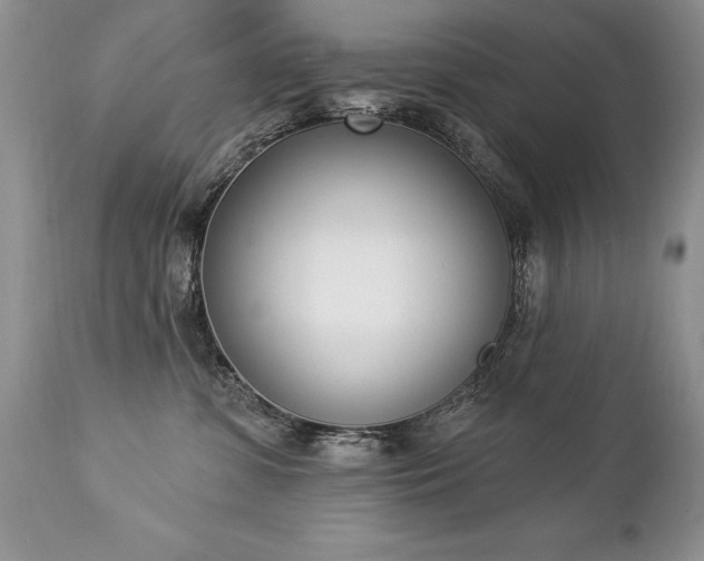 X0000112840331200908211247