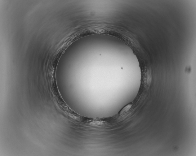 X0000112840332200908211247