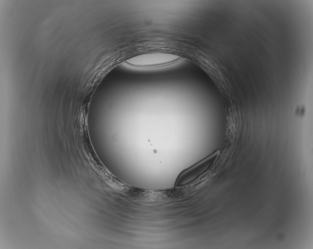 X0000112840333200908211247