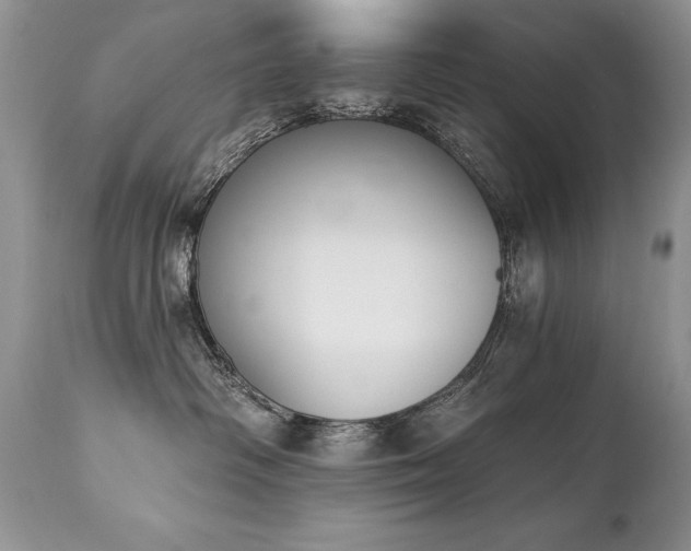 X0000112840334200908211247