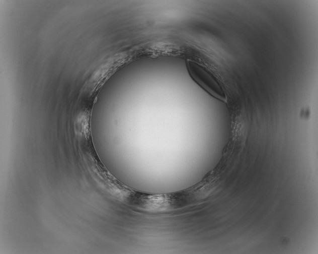 X0000112840335200908211247