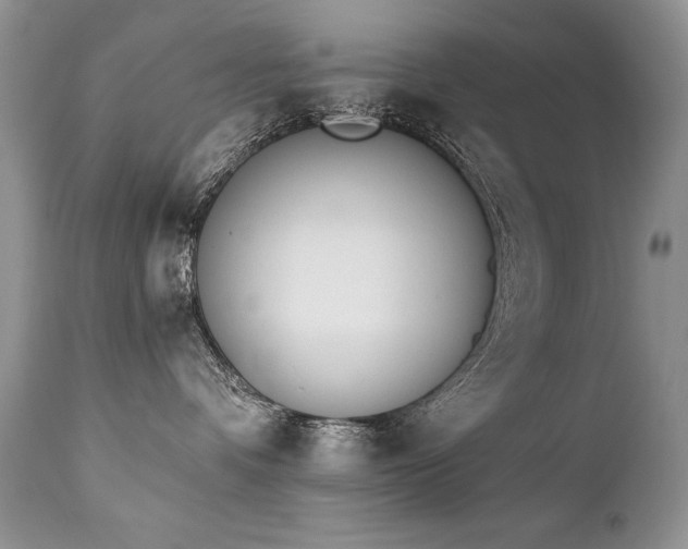 X0000112840336200908211247