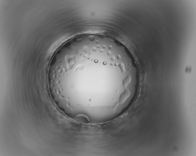 X0000112840337200908211246