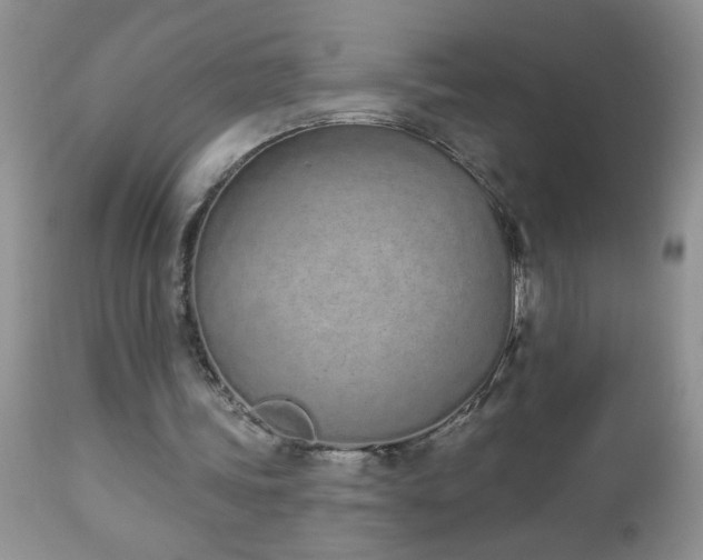 X0000112840339200908211246