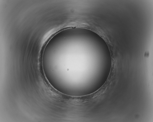 X0000112840340200908211246