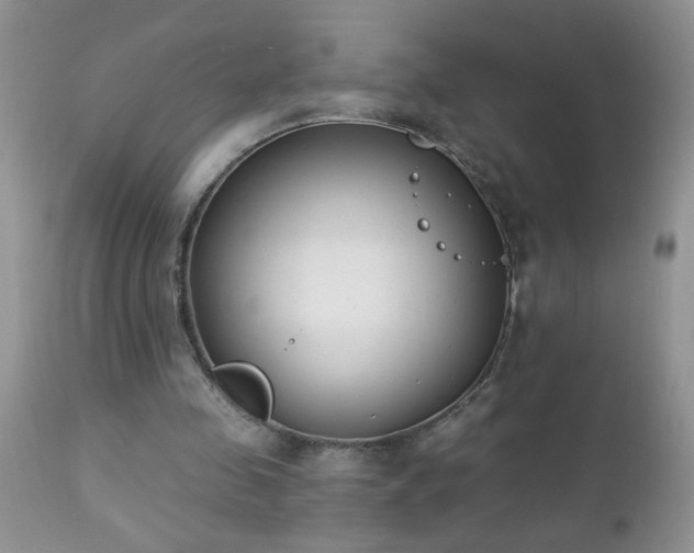 X0000112840341200908211246