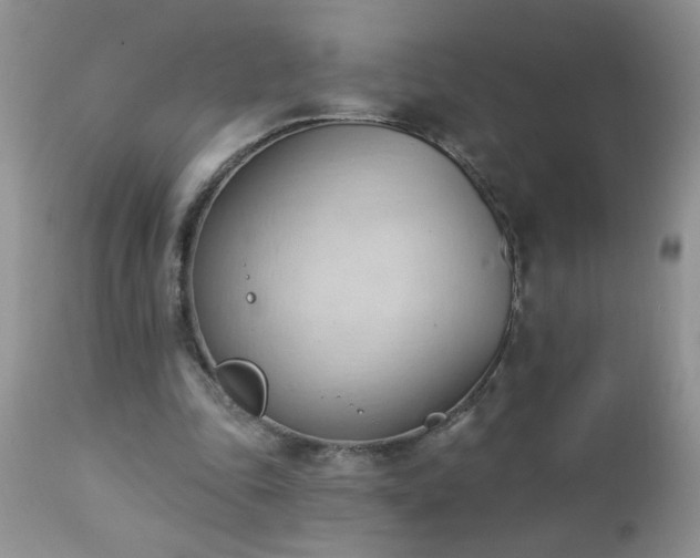 X0000112840343200908211246