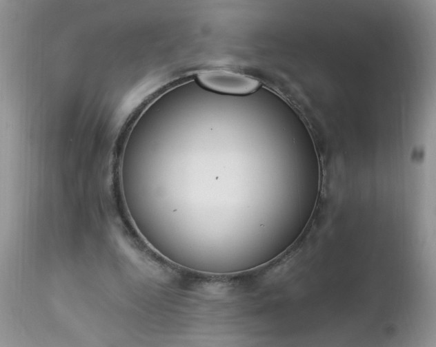 X0000112840344200908211246