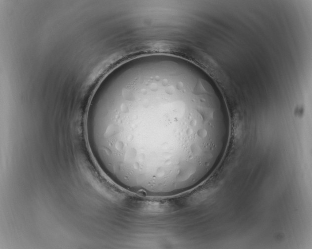 X0000112840347200908211246