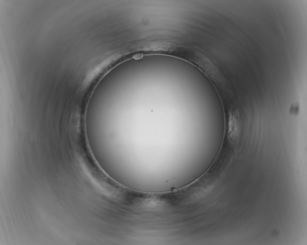 X0000112840348200908211246