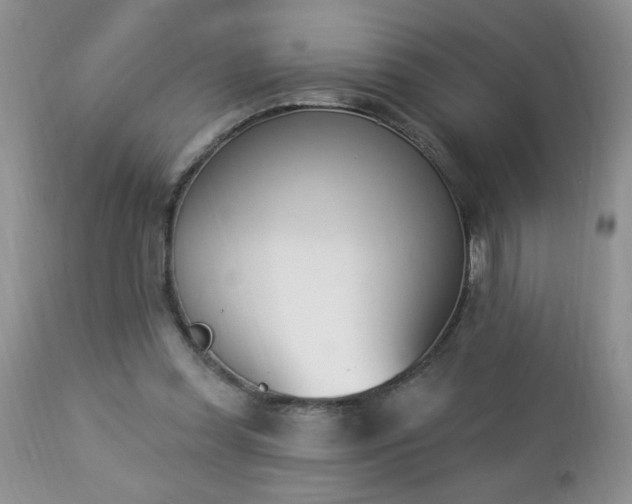 X0000112840349200908211246