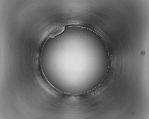 X0000112840350200908211246