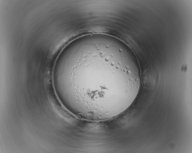 X0000112840351200908211246