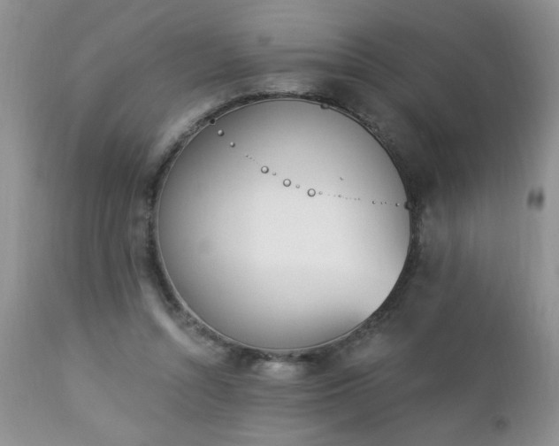 X0000112840352200908211246