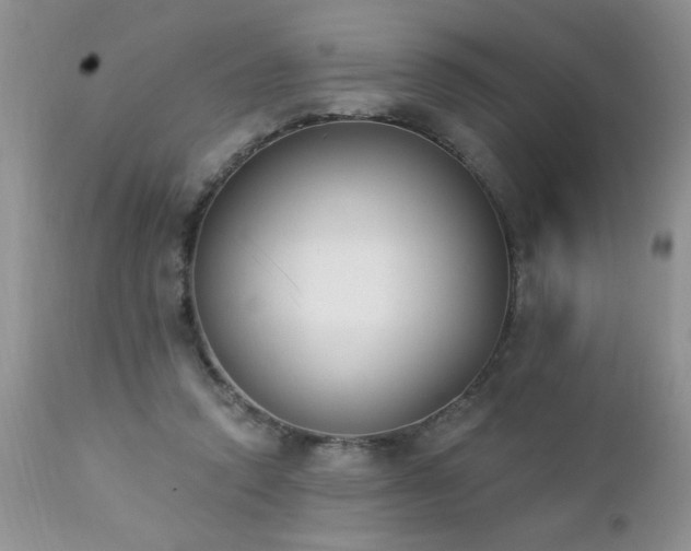 X0000112840354200908211246