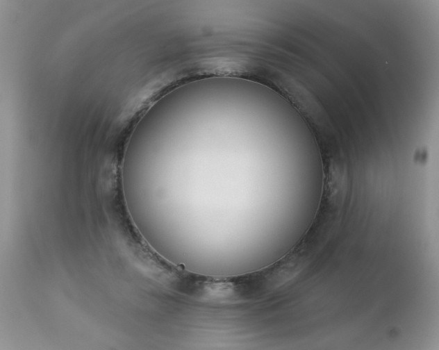 X0000112840355200908211246