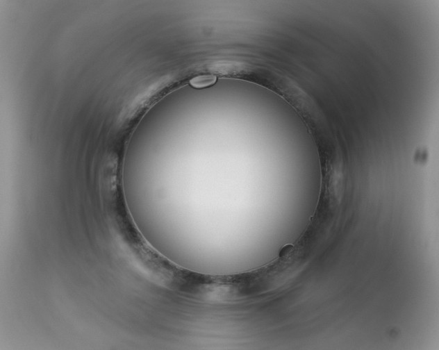 X0000112840356200908211246